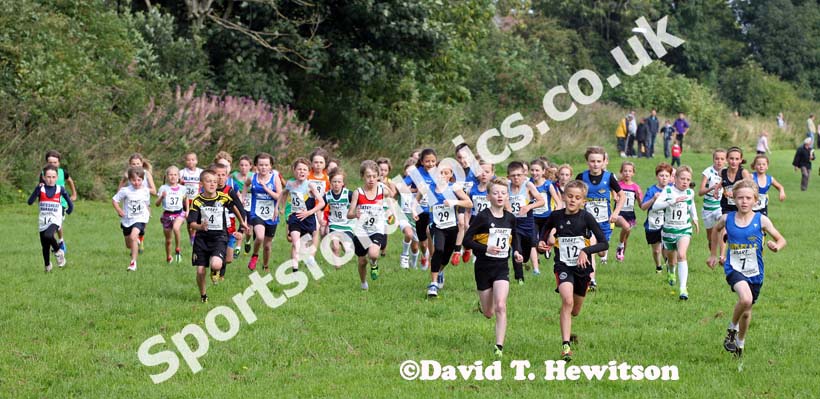 The start of the under-11s at the Sunderland Open Cross Country.